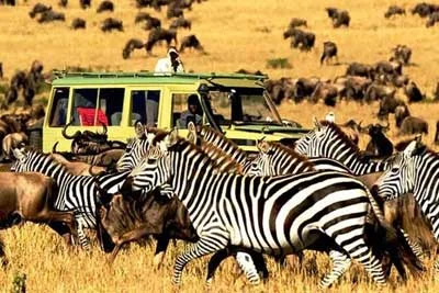 Descubriendo de vida salvaje de Kenia por el safari