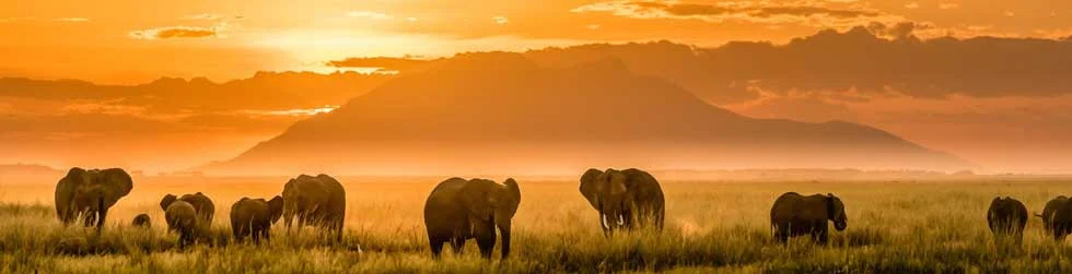 south africa packages